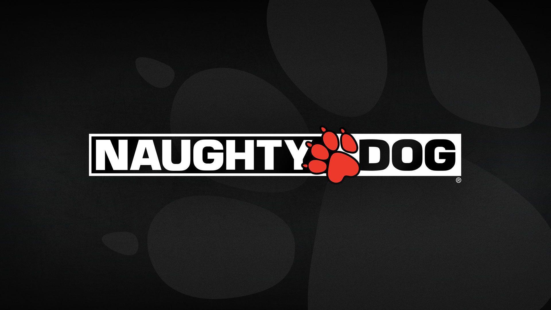 Naughty Dog publicity banner