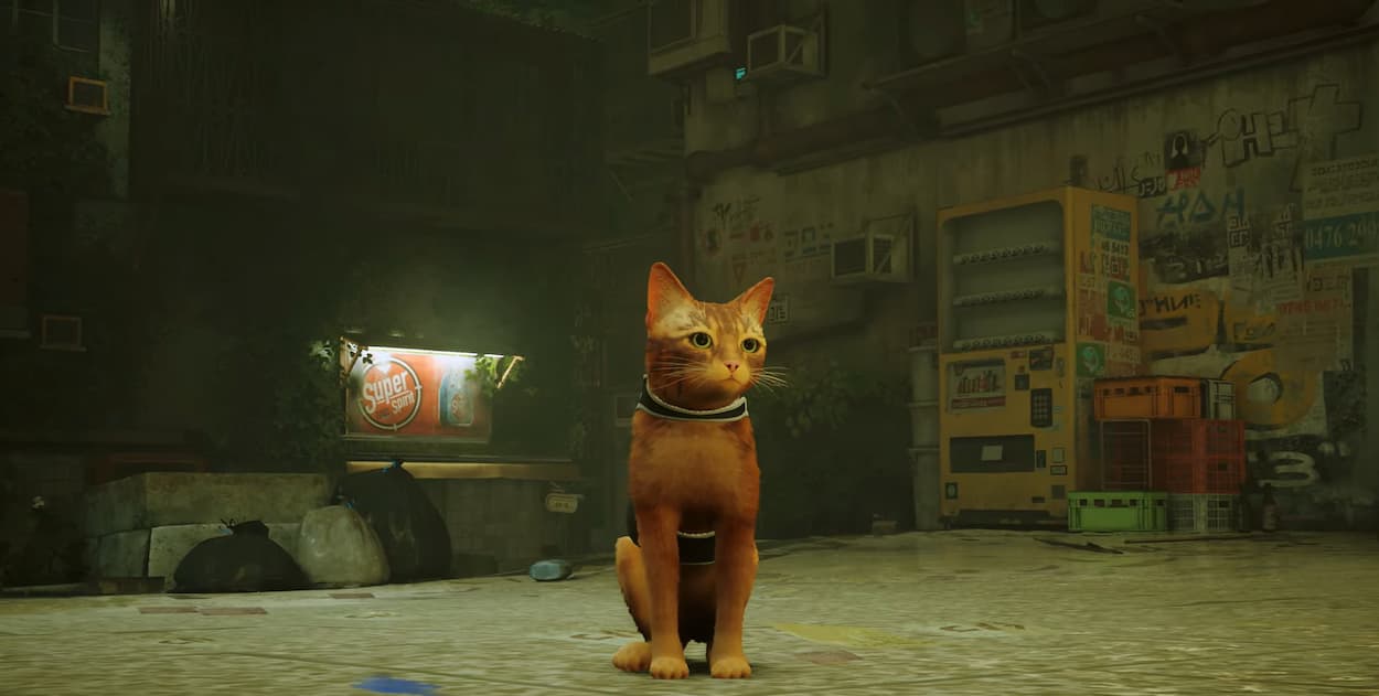 Campanha do jogo indie Stray, de gatinho, ajuda abrigos de animais