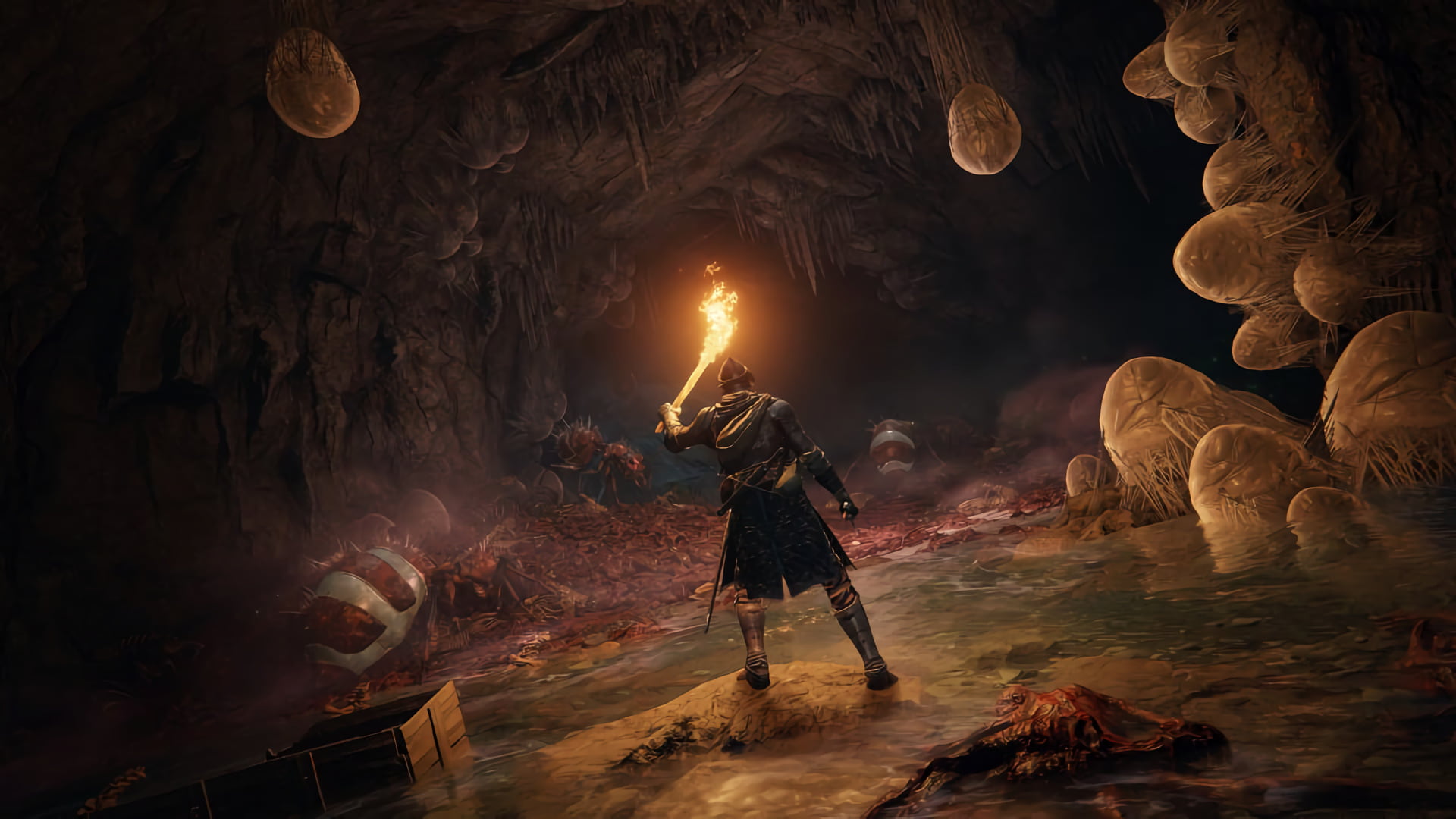 Imagem de jogador dentro de caverna assustadora com criaturas gigantes em Elden Ring