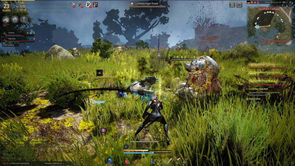 Imagem da gameplay de Black Desert