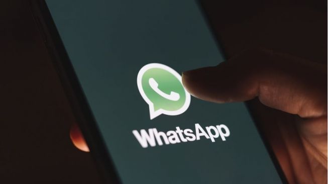 simbolo do whatsapp, balão de conversa verde com telefone branco dentro, em um celular